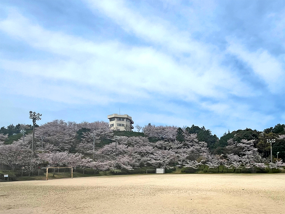 真幸ヶ丘公園